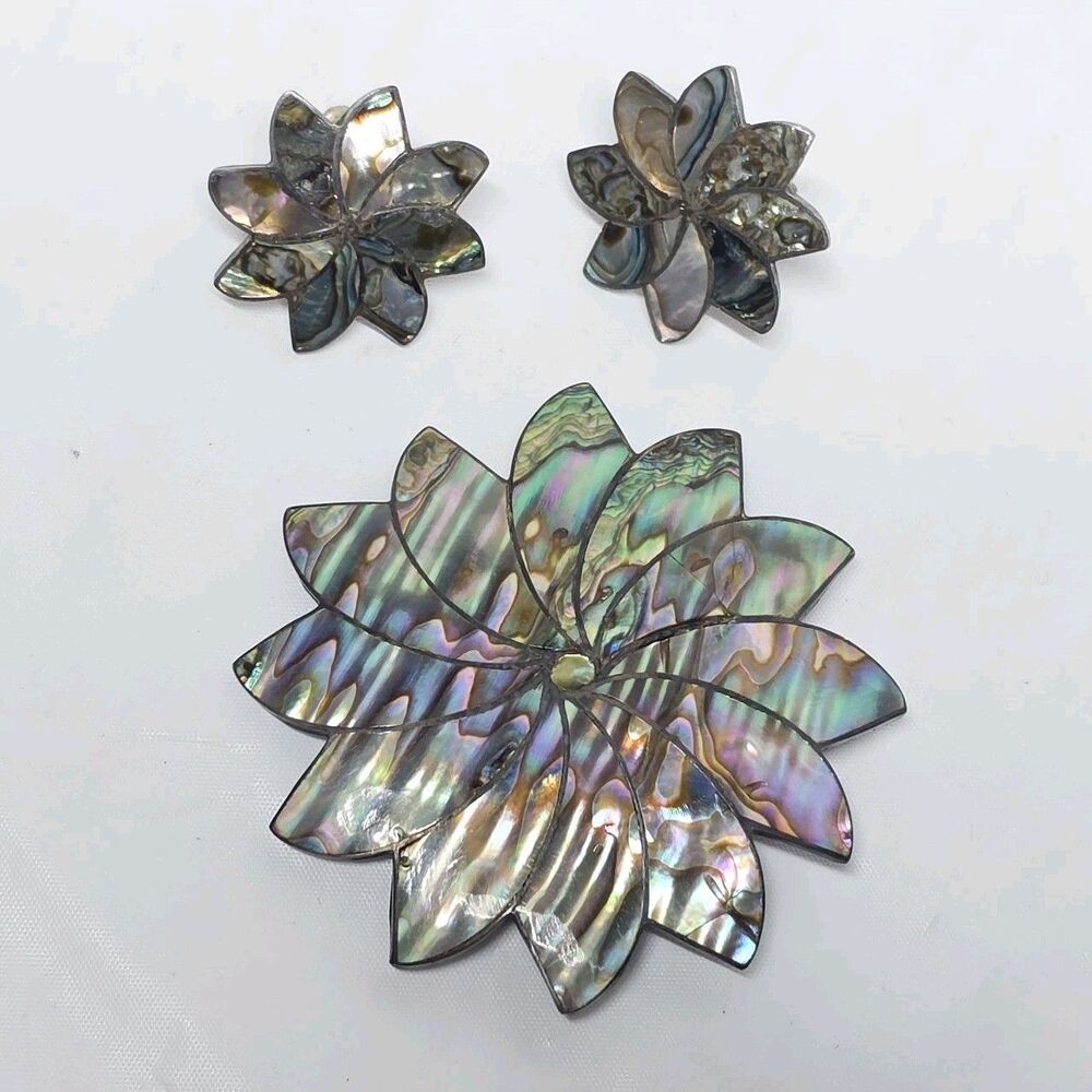 Vintage Taxco Sterling Silver Abalone Pinwheel Pendant / Brooch And Earrings Set